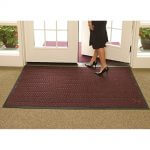 whee_classic_regalred_lady_walking_on_mat_image