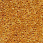 ColorStar Impressions 11