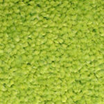 ColorStar Impressions 14