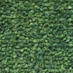 ColorStar Impressions 19