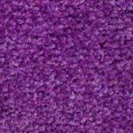 ColorStar Impressions 31