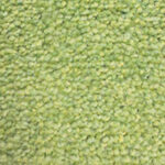 ColorStar Impressions 56